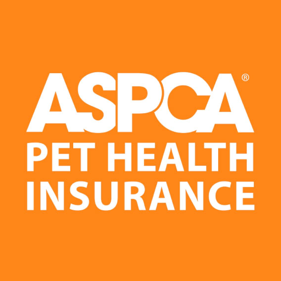 Best Pet Insurance In Massachusetts For 2024