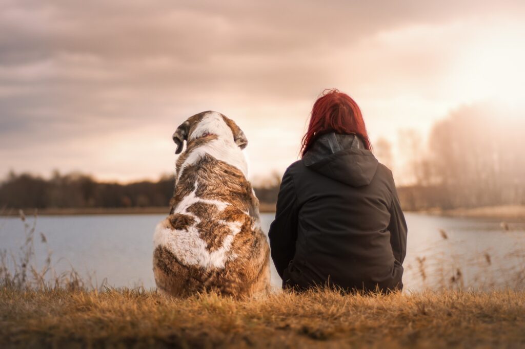 dog and its owner sitting down