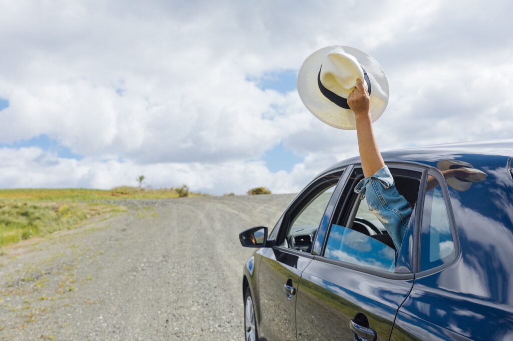 person holding hat out of car window