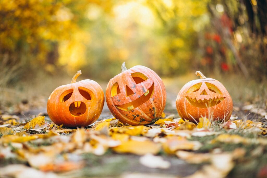 3 carved Halloween pumpkins