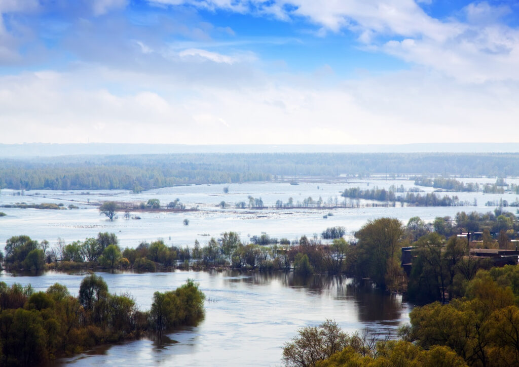 Flooded trees