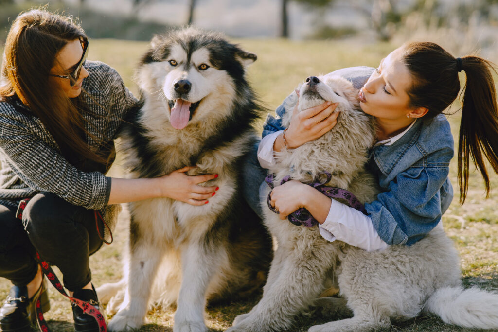 two girls holding their dogs